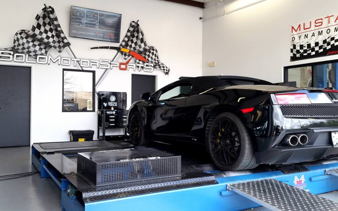 Gallardo LP 560 striking a pose!