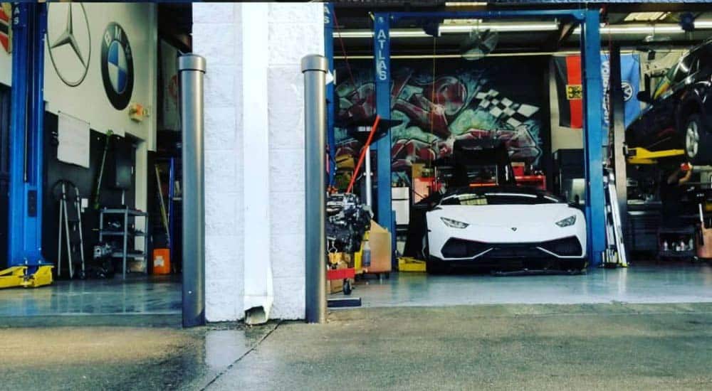 solo-lambos